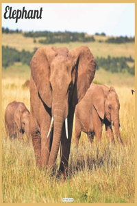 Elephant 2021 Wall Calendar