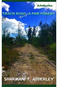 Track Road Through A Pine Forest
