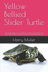 Yellow Bellied Slider Turtle