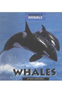 Whales