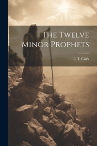 Twelve Minor Prophets