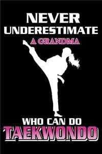 Never Underestimate A Grandma Who Can Do Taekwondo