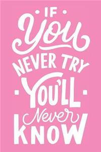 If You Never Try You'll Never Know