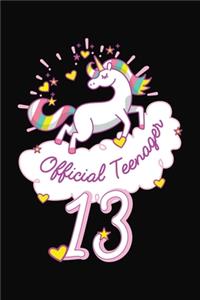 Official 13 Teenager