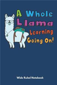Llama Notebook Journal