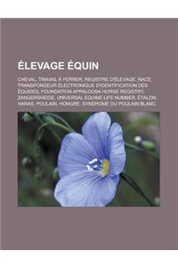 Elevage Equin