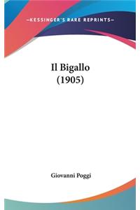 Il Bigallo (1905)
