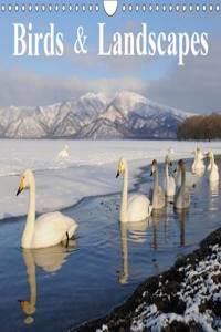 Birds & Landscapes / UK-Version 2016