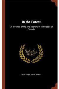 In the Forest: Or, pictures of life and scenery in the woods of Canada