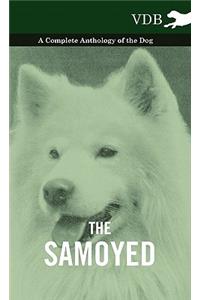 The Samoyed - A Complete Anthology of the Dog