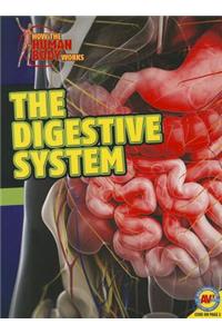 Digestive System