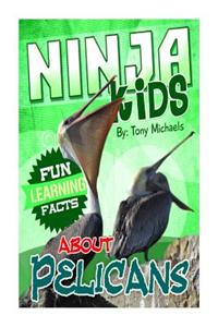 Fun Learning Facts about Pelicans