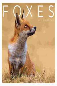 FOXES SQUARE WALL CALENDAR 2021