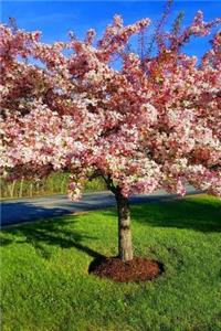 Journal Flowering Tree Full Bloom