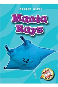 Manta Rays