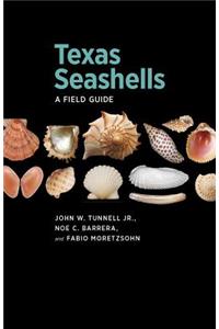 Texas Seashells