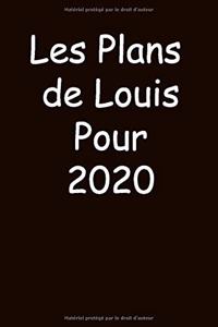 Les Plans de Louis Pour 2020