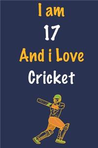 I am 17 And i Love Cricket