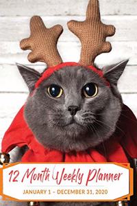 12 Month Weekly Planner