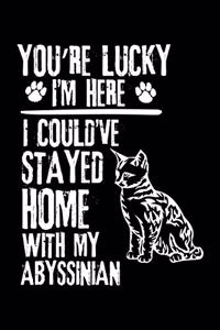 You're Lucky I'm Here I Could've Stayed Home with My Abyssinian