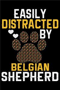 Easily Distracted by Belgian Shepherd