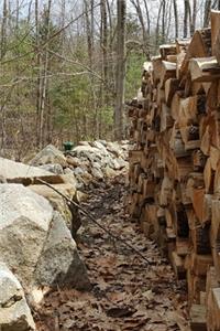 2020 Daily Planner Late Fall Woodpile Stone Wall Forest Photo 388 Pages