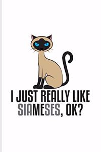 I Just Really Like Siameses Ok