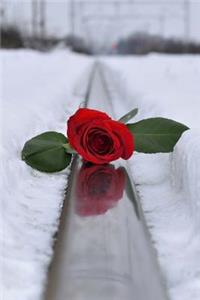 Red Rose in the Snow - A Life in Winter Journal