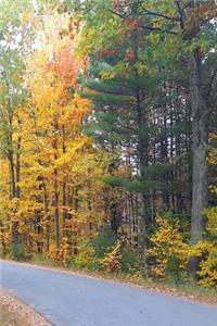 2019 Weekly Planner Pretty Fall Colors Country Road 134 Pages