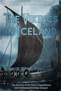 Vikings in Iceland