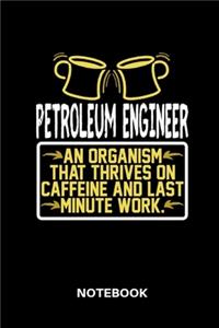 Petroleum Engineer - Notebook