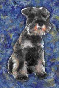 Miniature Schnauzer