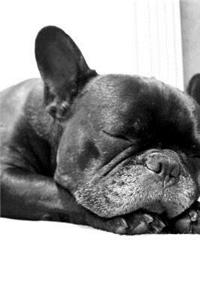 Dog Notebook