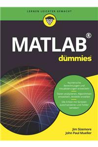 Matlab fur Dummies