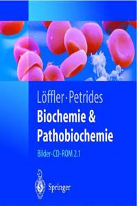 Biochemie Und Pathobiochemie
