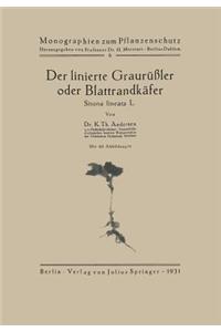 Der linierte Graurüßler oder Blattrandkäfer