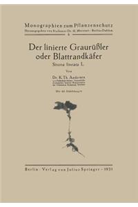 Der Linierte Graurüßler Oder Blattrandkäfer