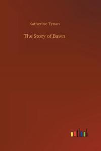 Story of Bawn