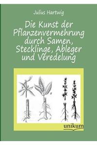 Kunst Der Pflanzenvermehrung Durch Samen, Stecklinge, Ableger Und Veredelung