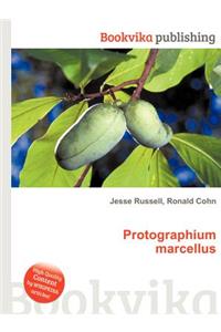 Protographium Marcellus