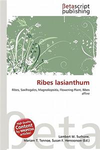 Ribes Lasianthum