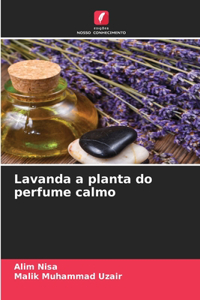 Lavanda a planta do perfume calmo