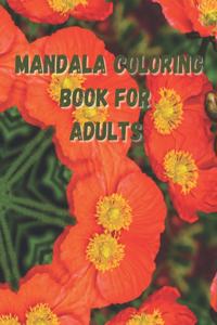 Mandala Coloring Book For Adults