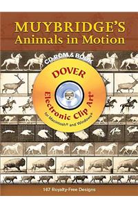 Muybridge's Animals in Motion