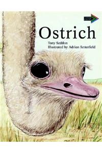 Ostrich South African Edition