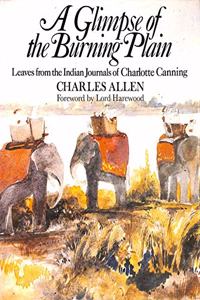 Glimpse of the Burning Plain