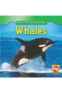 Whales