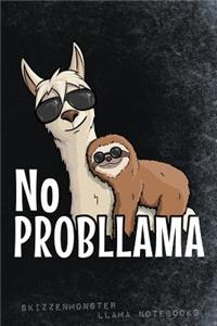 No ProbLlama