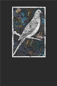 Pigeon Floral