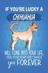 If You're Lucky A Chihuahua Will Come Into Your Life, Steal Your Heart And Change You Forever